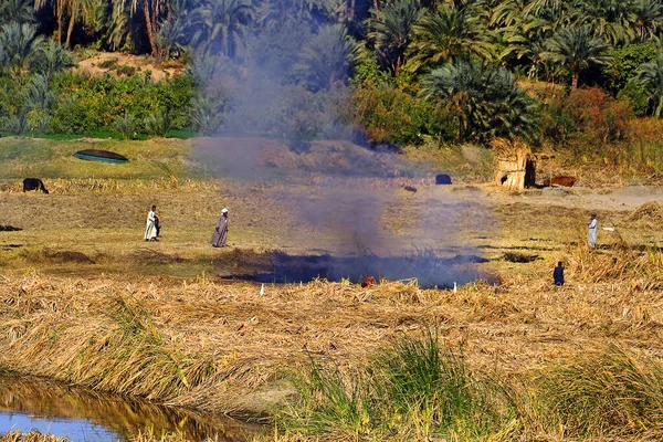 Farmers on the banks of the River Nile, Africa, Egypt