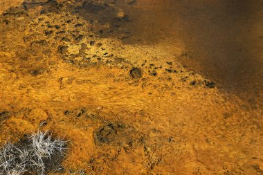 Firehole Lake Drive - Yellowstone Ulusal Parkı 'nın coğrafi manzaraları, Usa