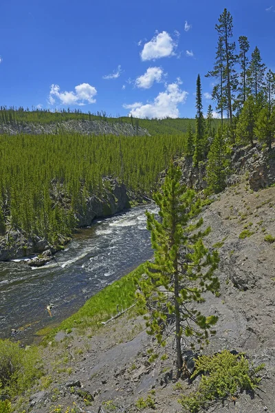 Firehole Canyon Paisajes Escénicos Del Parque Nacional Yellowstone Estados Unidos — Foto de Stock