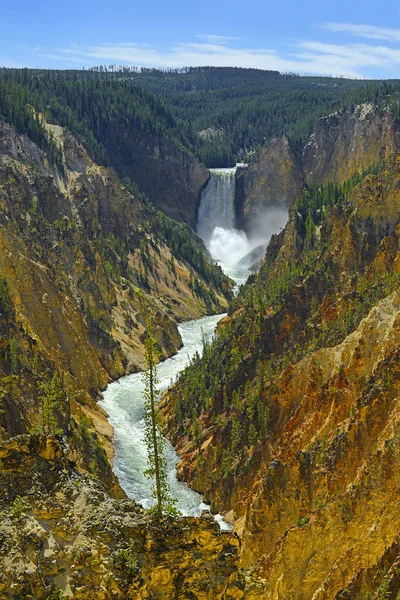 Gran Cañón Del Parque Nacional Yelowstone Parque Nacional Yellowstone Patrimonio — Foto de Stock