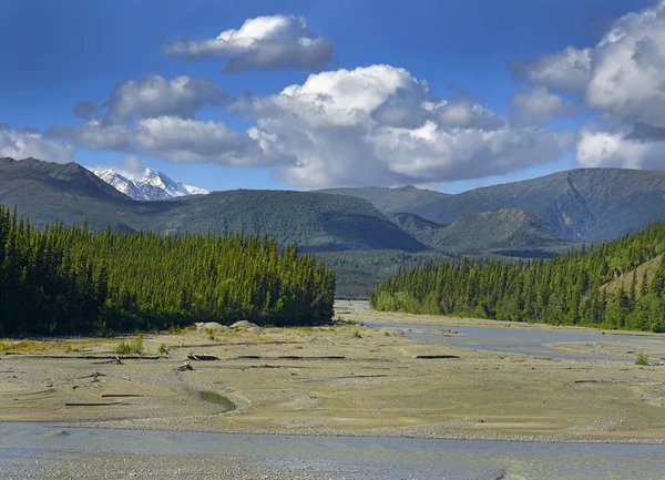 Rzeka Johnson Krajobraz Wokół Autostrady Alaska Alaska Usa — Zdjęcie stockowe