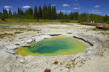 West Thumb Geyser Basin  Ledge Spring. Scenic Landscapes of Yellowstone National Park, USA, UNESCO World Heritage Site