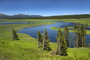 Yellowstone Nehri Akıntıları. Yellowstone Ulusal Parkı 'nın Manzaraları, Usa, Unesco Dünya Mirası Bölgesi