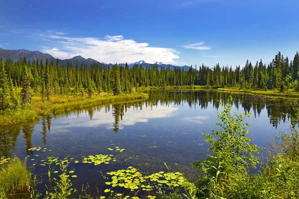 Prachtig Voorjaarslandschap Met Meer Blauwe Lucht Mccarthy Road Het Wrangell — Stockfoto