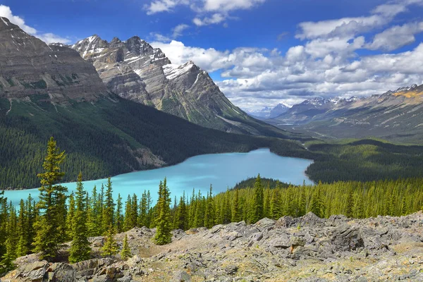 Nationaal Park Peyto Lake Banff Alberta Canada — Stockfoto