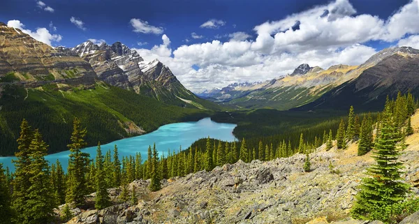 Park Narodowy Peyto Lake Banff Alberta Kanada — Zdjęcie stockowe