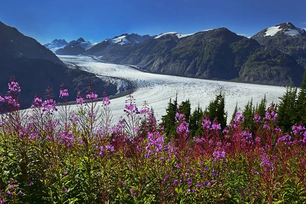 Pohled Překrásný Ledovec Lososa Britská Kolumbie Kanada — Stock fotografie
