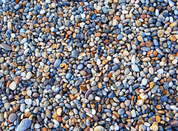 Pebbles Background Beach Devon England — ストック写真