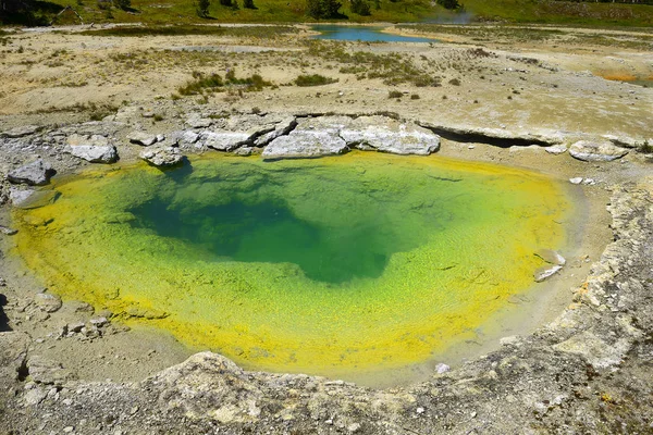 West Thumb Geyser Basin Ledge Spring Paisajes Escénicos Del Parque — Foto de Stock