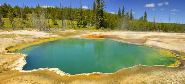 West Thumb Geyser Basin Ledge Spring Paisajes Escénicos Del Parque — Foto de Stock