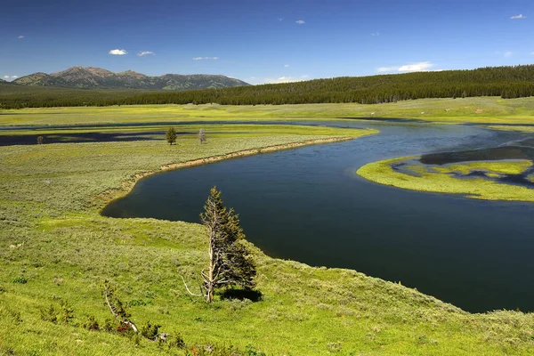 Río Yellowstone Meanders Paisajes Escénicos Del Parque Nacional Yellowstone Estados — Foto de Stock