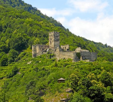 Hinterhaus Kalesi 'ni mahveder. Spitz, Tuna Nehri, Vachau Vadisi - Unesco Dünya Mirası Bölgesi, Aşağı Avusturya