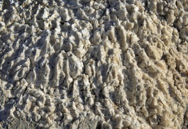 Sahilin dokuma manzarası.