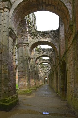 Fountains Abbey, Studley Royal, North Yorkshire, Ripon, İngiltere - Unesco Dünya Mirası