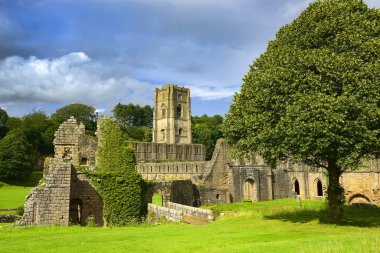 Fountains Abbey, Studley Royal, North Yorkshire, Ripon, İngiltere - Unesco Dünya Mirası