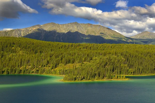 Emerald Lake Located Carcross Yukon Canada — Stock Photo, Image