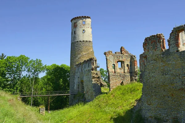 Las Ruinas Del Castillo Zviretice Cerca Mlada Boleslav Castillo Fue —  Fotos de Stock