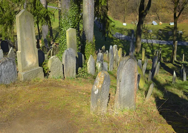 Trebic Morawy Czechy Historyczne Nagrobki Starym Cmentarzu Żydowskim Trebic Wpisane — Zdjęcie stockowe