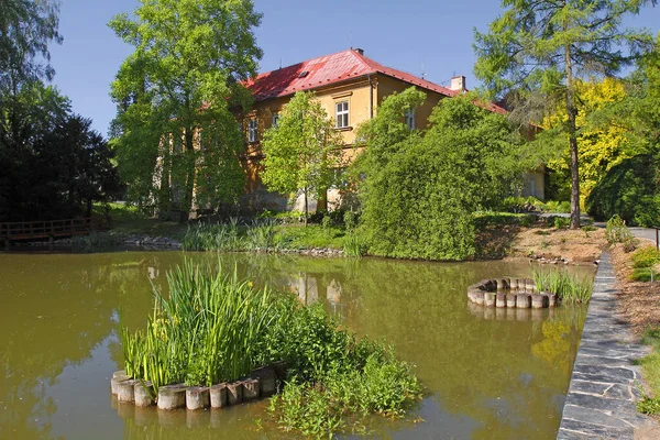 Zamek Arboretum Bila Lhota Koło Ołomuńca Arboretum Bila Lhota Zostało — Zdjęcie stockowe