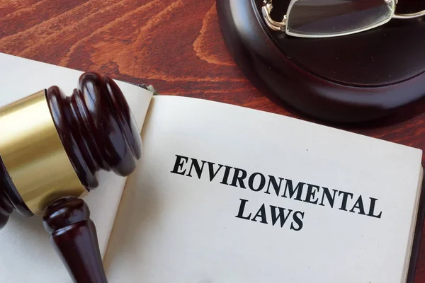 Environmental law title on a book and gavel. — Stock Photo, Image