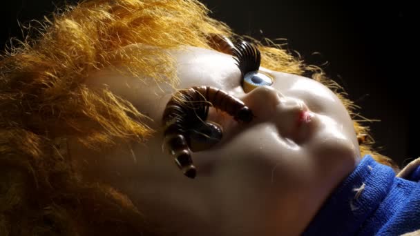 その上にワームを持つ気味の悪いヴィンテージ人形 恐ろしい悪夢の概念 — ストック動画