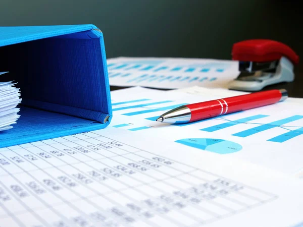 会計の概念 事業報告書及び決算書のペン — ストック写真