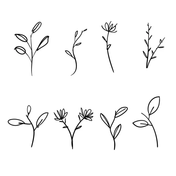 Doodle a base di erbe e fiorire illustrazione set in stile disegnato a mano cartone animato — Vettoriale Stock