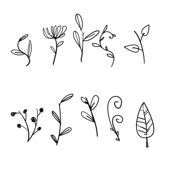 Doodle a base di erbe e fiorire illustrazione set in stile disegnato a mano cartone animato — Vettoriale Stock