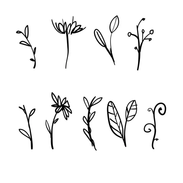 Karalama bitkisel ve gösterişli çizgi film el çizimi tarzında resimleme — Stok Vektör