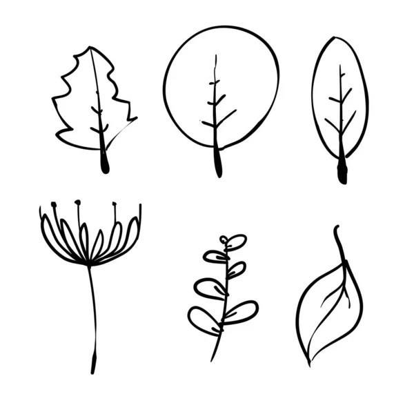 Çiçek Dekorasyon Çizgisi Simgesi Karalama el çizimi biçim vektörü — Stok Vektör