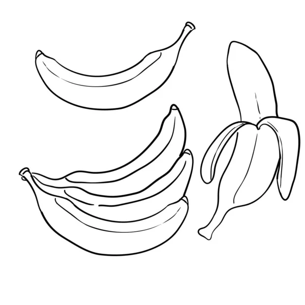 Firka banán illusztráció kézzel rajzolt stílus — Stock Vector