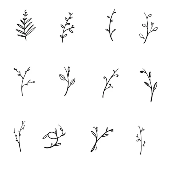 Handgezeichnete florale Elemente. Vintage Blätter botanische Illustrationen. mit Doodle-Vektor isoliert auf Weiß — Stockvektor