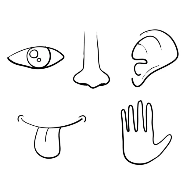 Icona composta da cinque sensi umani: vista (occhio), olfatto (naso), udito (orecchio), tatto (mano), gusto (bocca con lingua). con vettore disegnato a mano in stile doodle — Vettoriale Stock