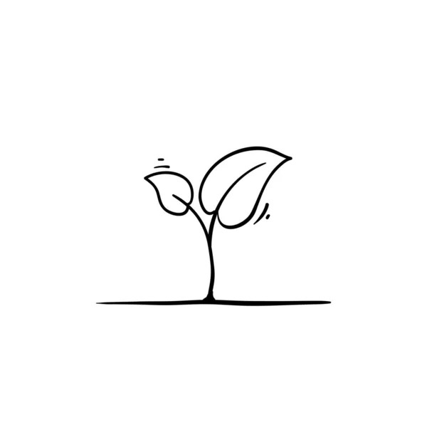 Plantvektor illustration med handritade doodle tecknad stil isolerad på vit bakgrund — Stock vektor