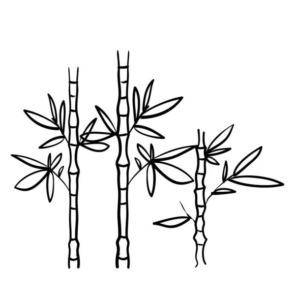 Planta de bambú dibujado a mano doodle estilo vector aislado Fondo — Vector de stock