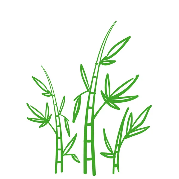 Planta de bambú dibujado a mano doodle estilo vector aislado Fondo — Vector de stock