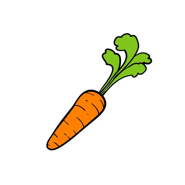 Bazgroły marchew, pożywne wektor warzyw ręcznie rysowane linii art design izolowane — Wektor stockowy