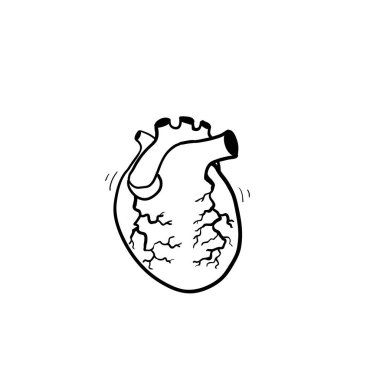 İnsan kalbini karala. Venöz sistemle anatomik olarak doğru kalp. Çizgi çizgi film..