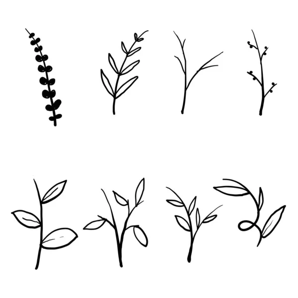 ベクターの枝や葉のコレクション 手描きの花の要素 ヴィンテージの植物イラスト ベクトル — ストックベクタ