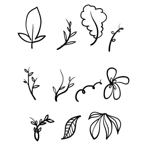 手描きの枝と葉のイラストセットにドードル型ベクトルを分離 — ストックベクタ