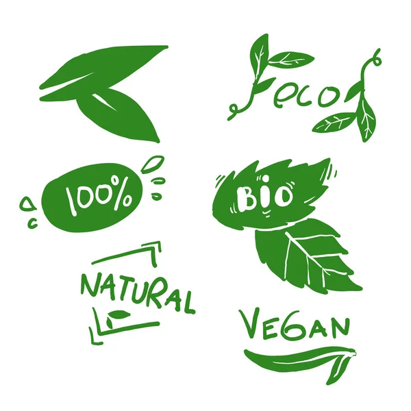 Hand Drawn Set Vegan Eco Bio Organic Fresh Healthy 100 — Stock Vector