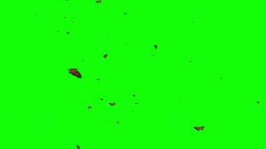 Yeşil ekran arka planlı uçan kelebekler