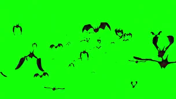 Ιπτάμενες Νυχτερίδες Γραφικά Κίνησης Πράσινο Φόντο Οθόνη — Αρχείο Βίντεο