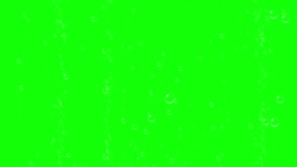 Flying Bubbles Green Screen Background — Stock Video