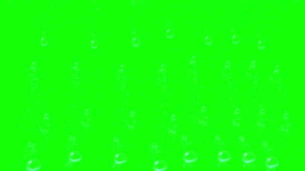 초록색 배경이 — 비디오