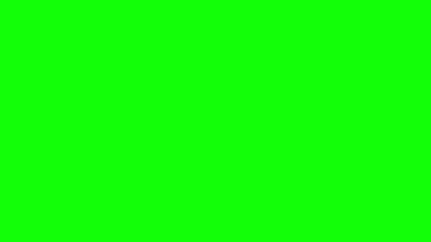 Confetti Типів Фоном Зеленому Екрані — стокове відео