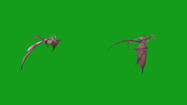 Літаючий Дракон Зеленим Екраном Фону — стокове відео