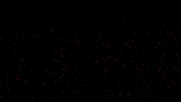 Пожежні Блискітки Темним Тлом — стокове відео