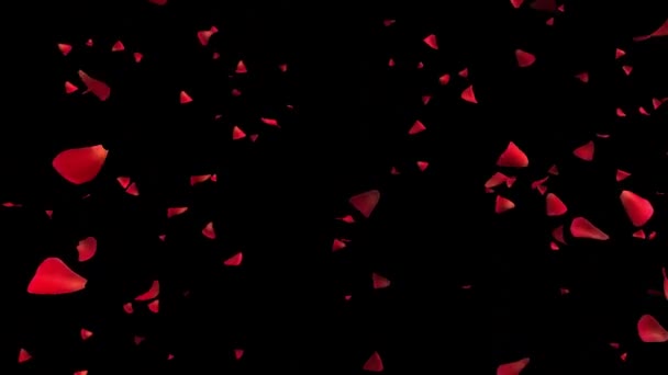 어두운 배경을 떨어지는 장미꽃 — 비디오