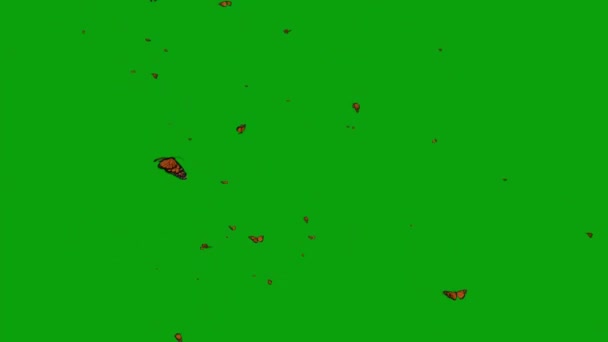 Flying Butterflies Green Screen Background — Stock Video